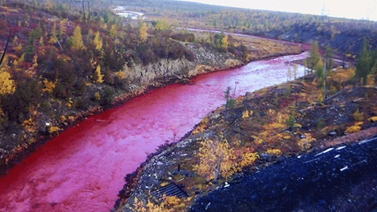 Rivière rouge en Russie: le géant minier Nornickel devra payer... 500EUR d'amende