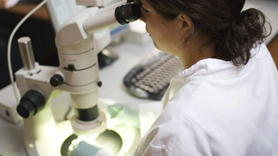 GB: la justice donne à une adolescente le droit d'être cryogénisée