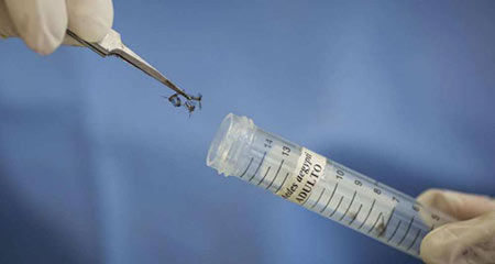 Sanofi se lance dans la recherche d'un vaccin contre le virus Zika