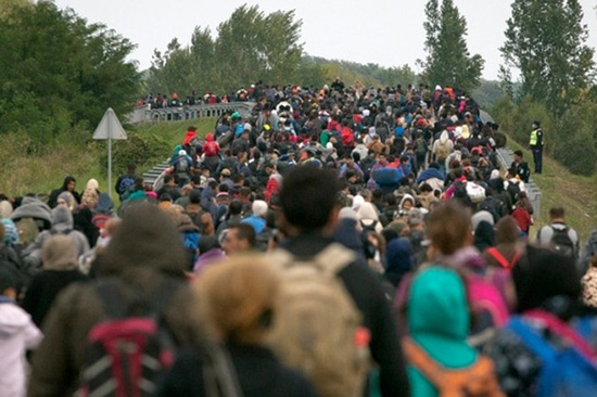 65,3 millions de réfugiés et déplacés dans le monde, un record.