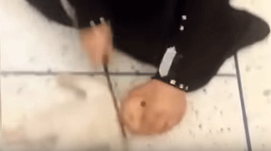 «Djihadie Girl»: une petite fille décapite une poupée dans une nouvelle vidéo de «Daech»

