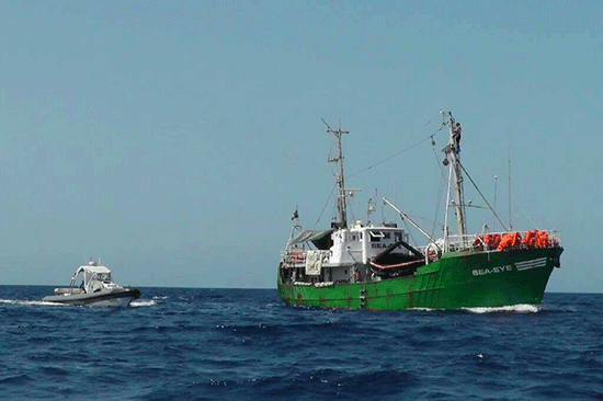 Libération des deux humanitaires allemands arrêtés en Libye