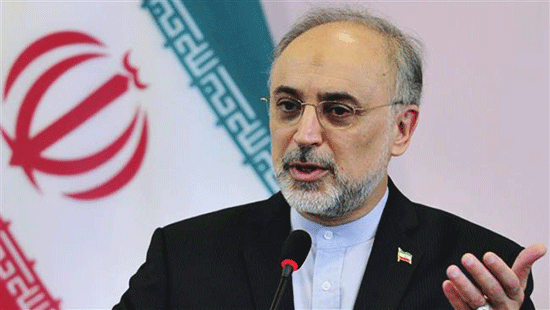 Salehi: l’accord nucléaire iranien ne serait «pas sérieusement menacé» par une victoire de Trump

