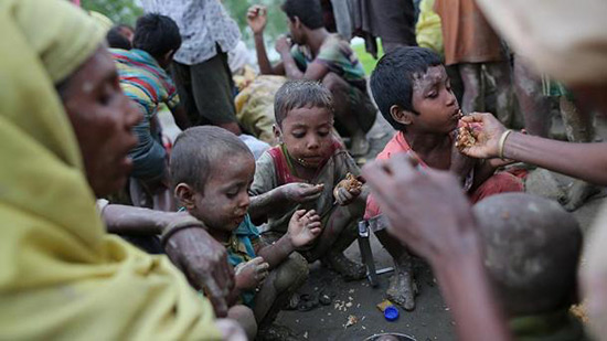 Un quart des enfants rohingyas réfugiés atteint de malnutrition sévère.