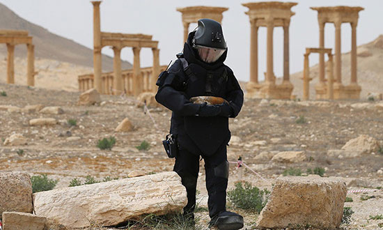 Plus de 150 militaires russes déployés à Palmyre pour déminer la ville et la cité antique