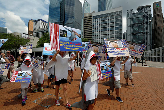 Des manifestants se déguisent en requin contre la consommation d'ailerons à Hong Kong