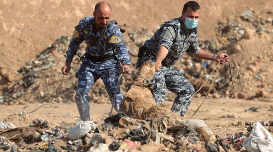 Un charnier contenant 500 corps décapités retrouvé près de Mossoul

