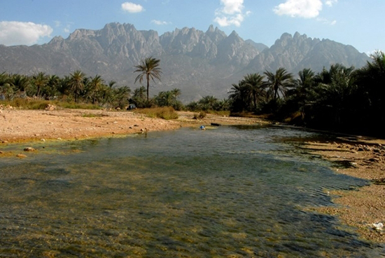 Socotra, cette île stratégique dans le viseur d'Abou Dabi