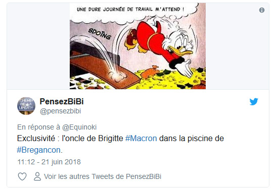 «On est des moutons»: polémique suite au projet d’installation d’une piscine pour Macron
