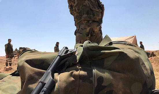 Syrie: l'armée reprend la ville stratégique de Bosra al-Sham