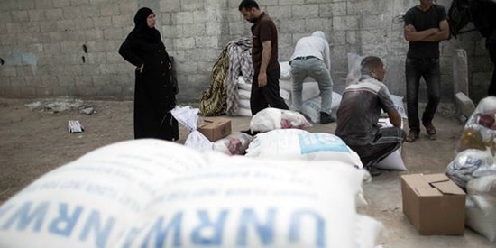 L’UNRWA va licencier plus de 250 employés après le gel de l’aide US