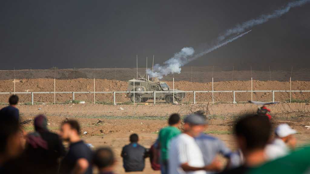 Gaza: 2 Palestiniens tués et au moins 242 blessés par des tirs israéliens