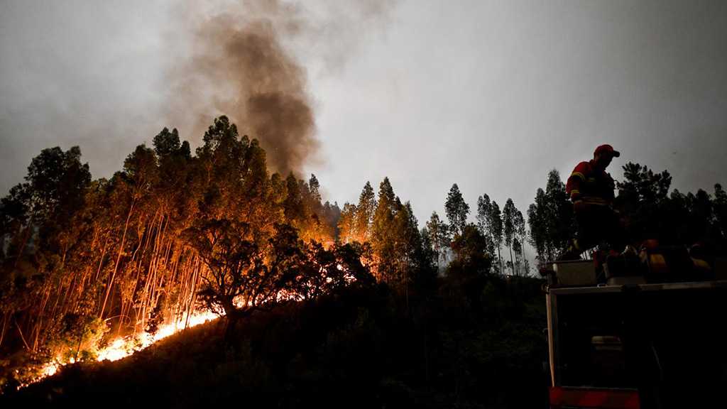 Californie : les incendies font toujours rage, au moins 59 victimes