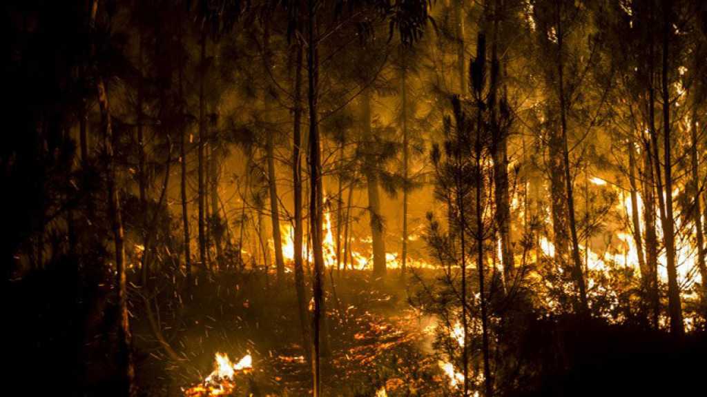 Incendie en Californie : le nombre de disparus dépasse 1.000 personnes, plus de 70 morts