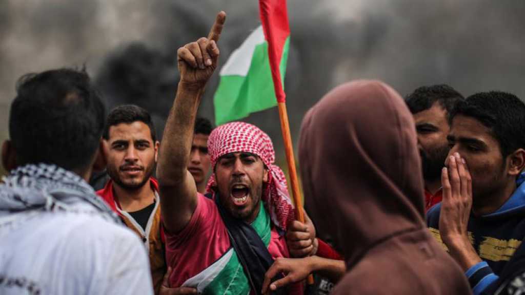 Gaza : Au moins 14 manifestants blessés dans des affrontements avec des soldats israéliens