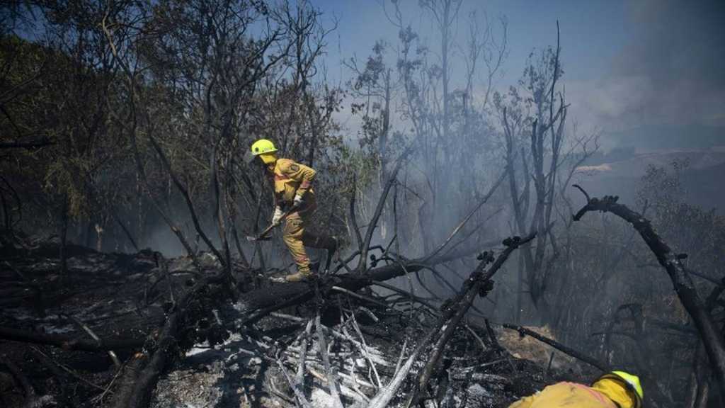 Nouvelle-Zélande: Un important feu de forêt risque de durer des semaines