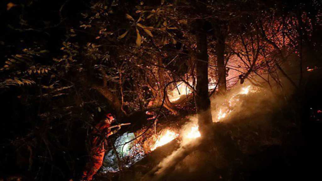 Chine : Un incendie de forêt tue 24 pompiers