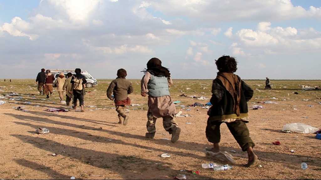 Syrie: libérés de «Daech», 25 femmes et enfants Yazidis rentrent en Irak