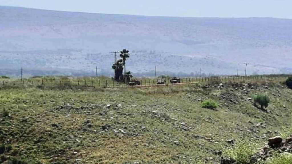 L’armée israélienne reprend les travaux d’une route militaire à la frontière avec le Liban