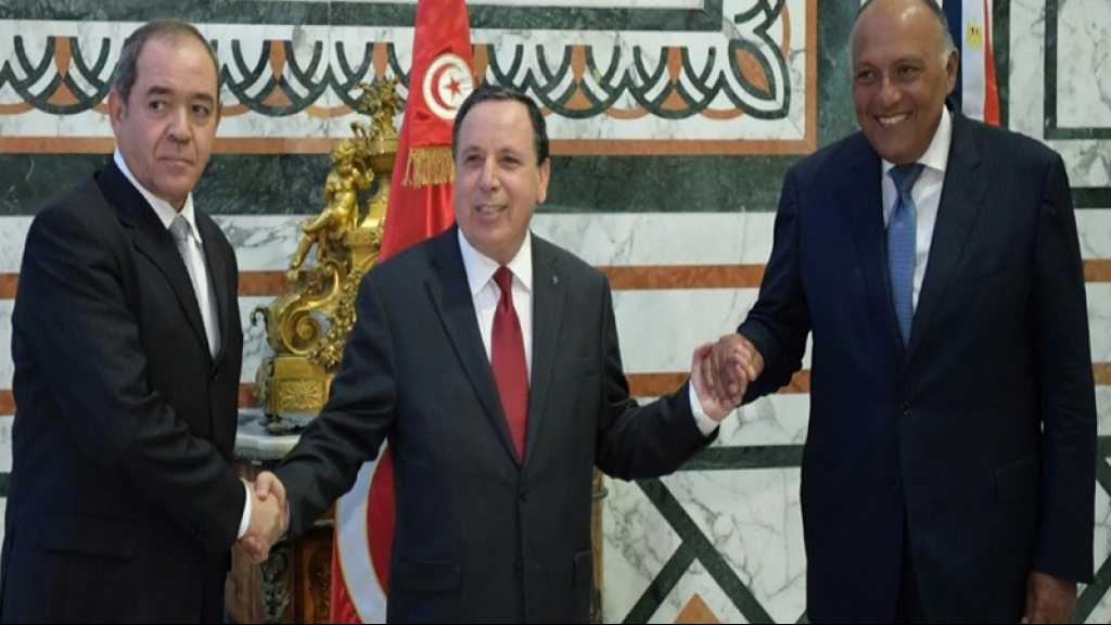 Libye: Tunis, Alger et Le Caire dénoncent les flux «continus» d’armes et de «terroristes»