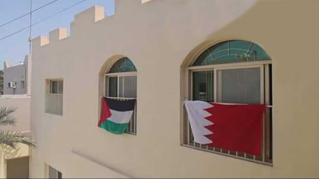 Contre la tenue de la conférence à Manama, les Bahreïnis hissent le drapeau palestinien