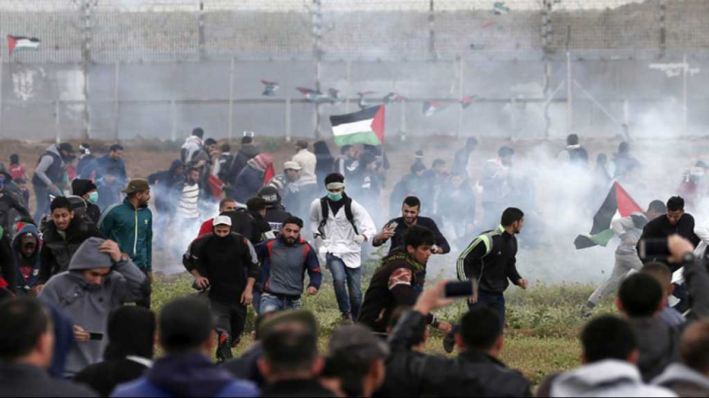 Gaza: 6000 manifestants à la frontière, 37 blessés