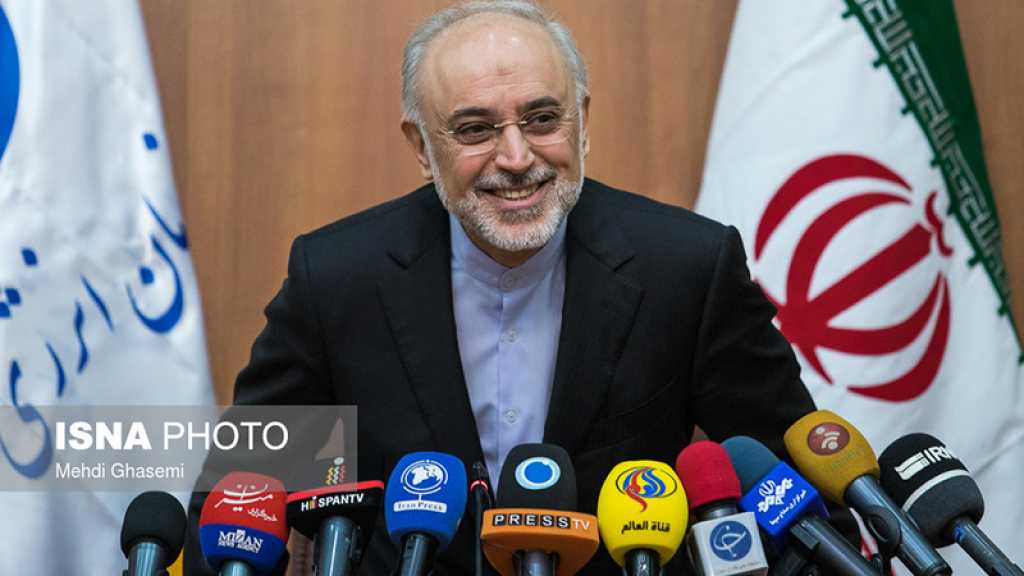 Salehi : Le projet de reconstruction du réacteur Arak avait bien progressé