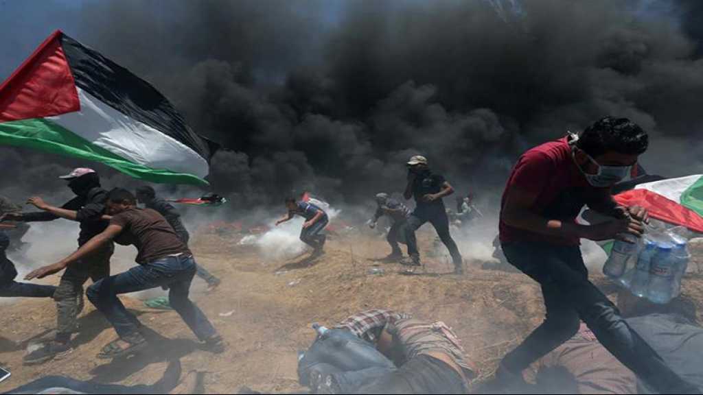 Gaza: des milliers de Palestiniens manifestent à la frontière, 63 blessés