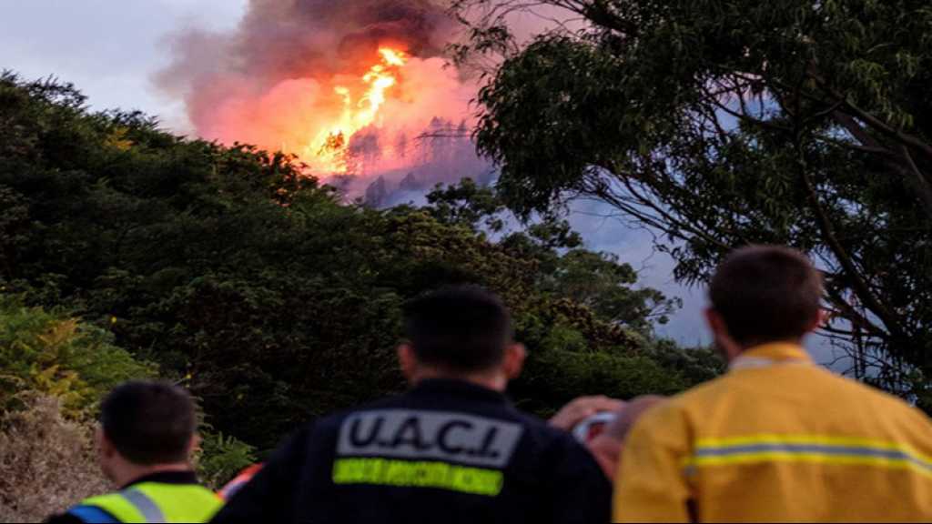 Violent incendie sur l’île de Grande Canarie, 5.000 personnes évacuées