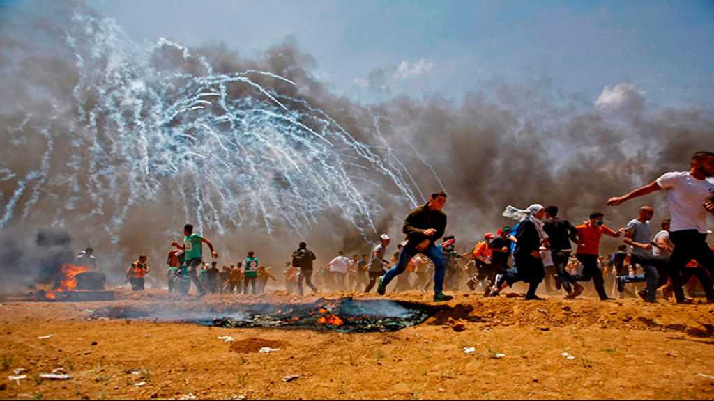 Gaza: 6000 manifestants à la frontière, 54 blessés