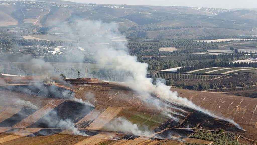 AlMayadeen: La Résistance prête à diffuser sa propre vidéo de l’opération menée d’un «angle inattendu par l’ennemi»