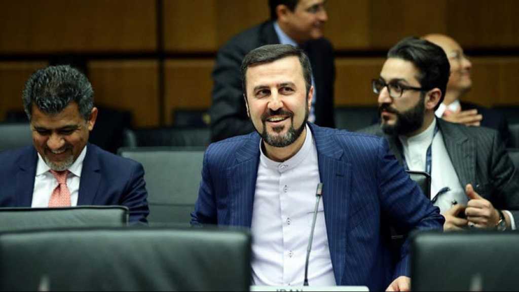 Inspectrice de l’AIEA interdite en Iran: l’alarme a été déclenchée par le détecteur d’explosifs