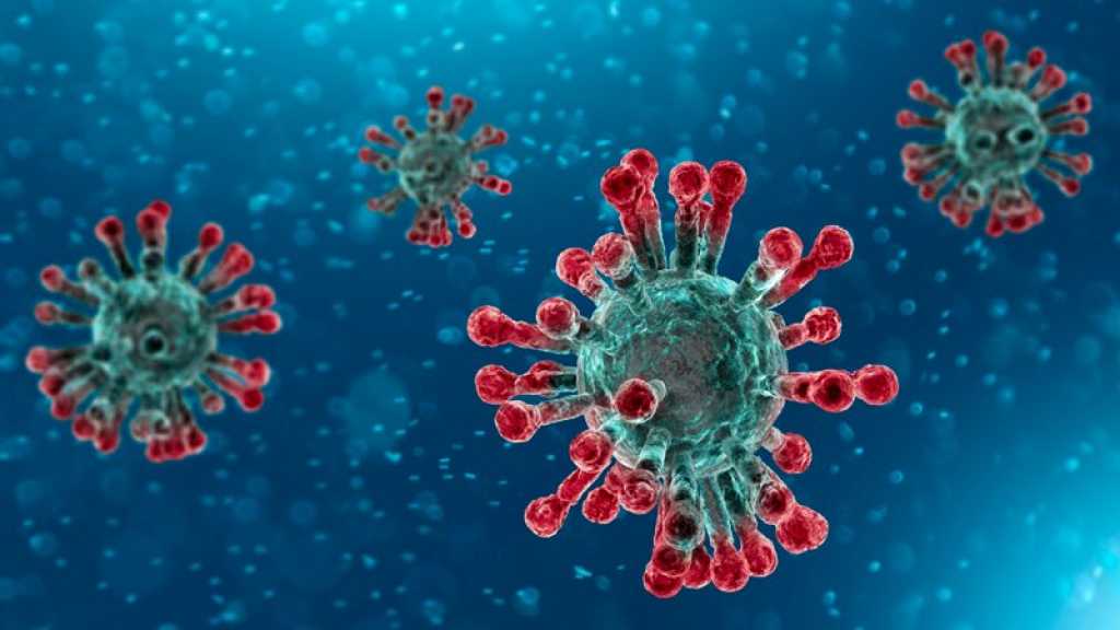 Les mesures de prévention pour contrer le coronavirus
