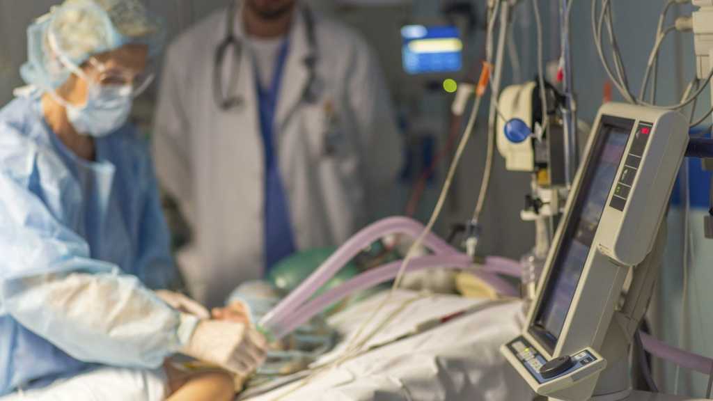 Coronavirus: le sang d’un ver marin pour pallier la pénurie de respirateurs