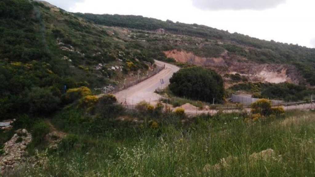 Liban: cinq Soudanais arrêtés après avoir tenté d’entrer en Palestine occupée