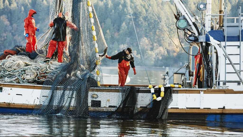 Énigme en Argentine: 57 marins atteints de la COVID-19 après 35 jours en mer