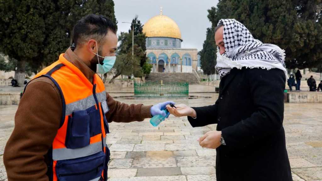 Palestine occupée: 596 infections au cours des dernières 24 heures, un nouveau record