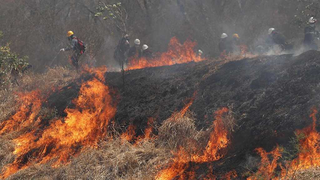 Incendies: la Bolivie se décrète en état de catastrophe nationale