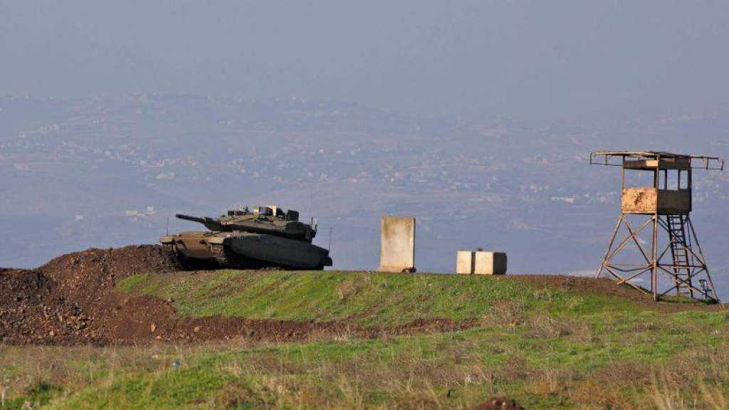 Les forces de l’occupation israéliennes effrayées par un garçon et une poule 