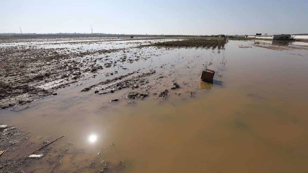  «Israël» inonde et endommage intentionnellement des centaines de dunums de terres à Gaza
