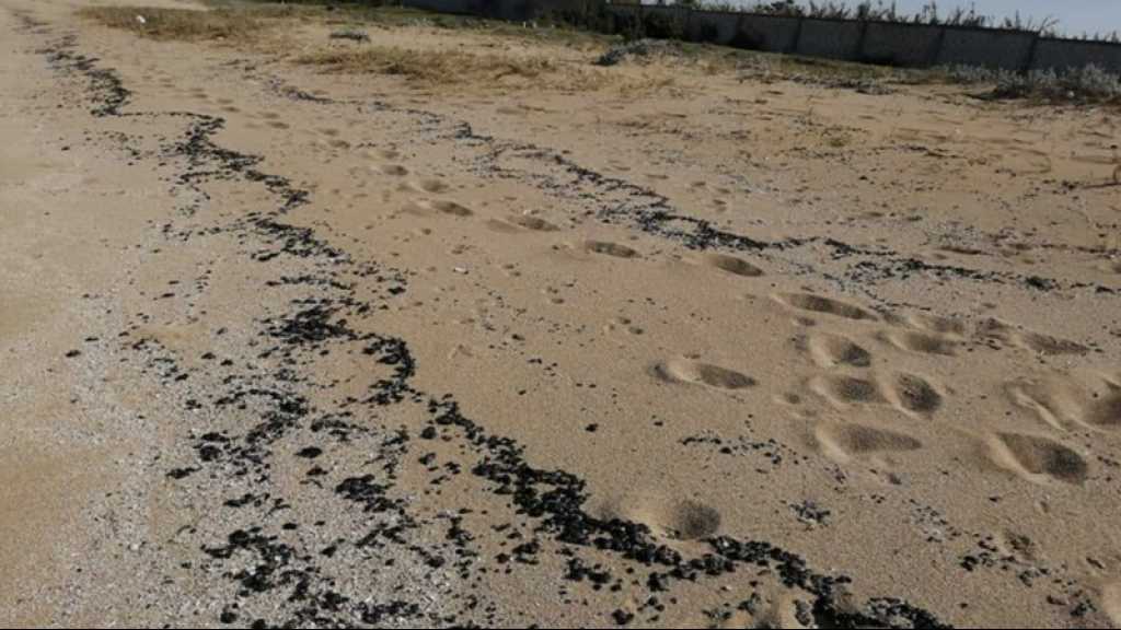La FINUL assistera le Liban face à la marée noire