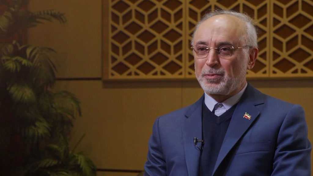 Salehi: l’interdiction de l’arme nucléaire par sayed Khamenei est non-discutable