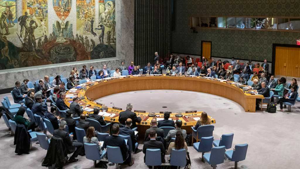 Nouvelle réunion jeudi du Conseil de sécurité de l’Onu sur le Tigré