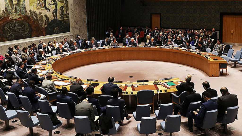 Le Conseil de sécurité de l’ONU endosse à l’unanimité les progrès libyens