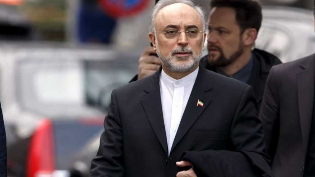 Salehi: l’enrichissement à Natanz ne s’est jamais arrêté, l’électricité désormais rétablie