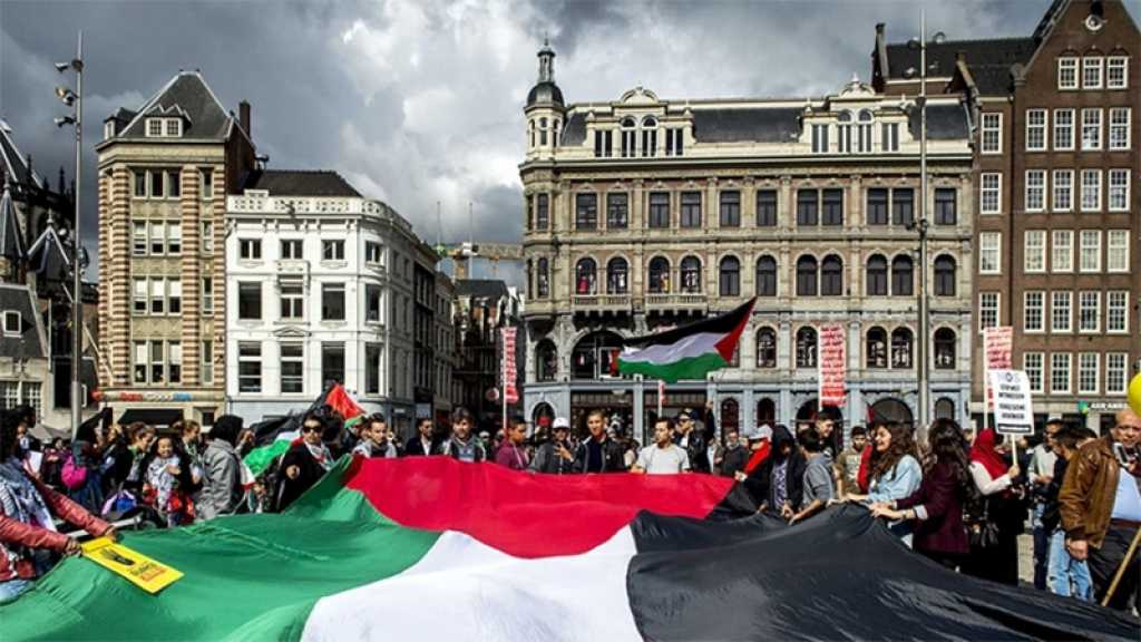 Pays-Bas: des universitaires appellent à un boycott d’«Israël» après l’agression contre Gaza