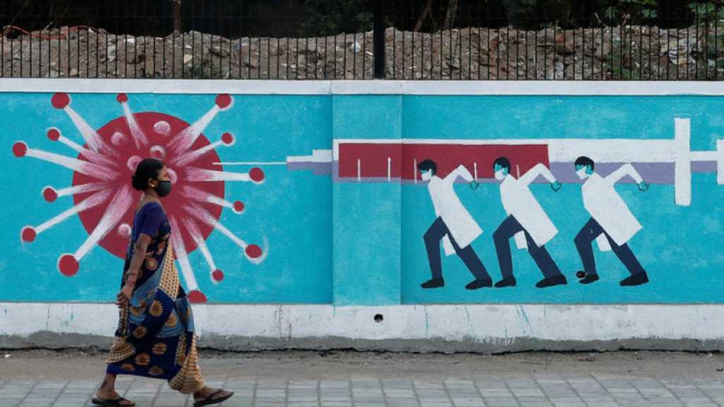 Un «super» anticorps, capable de lutter contre différents coronavirus, découvert par des chercheurs