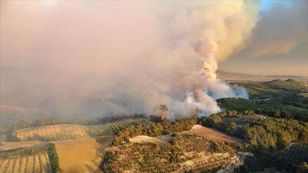 Turquie: une centrale thermique menacée par les incendies, les évacuations se poursuivent