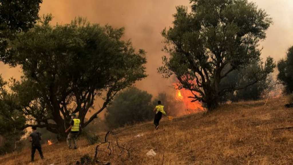 Algérie: la lutte contre les incendies progresse, une population sous le choc