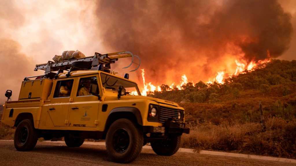 Incendies: plus de 700 hectares brûlés au Maroc, derniers foyers actifs en Algérie